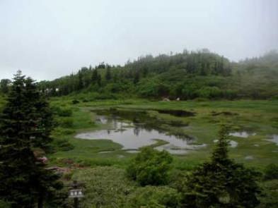 ヒュッテ3Fより高谷池